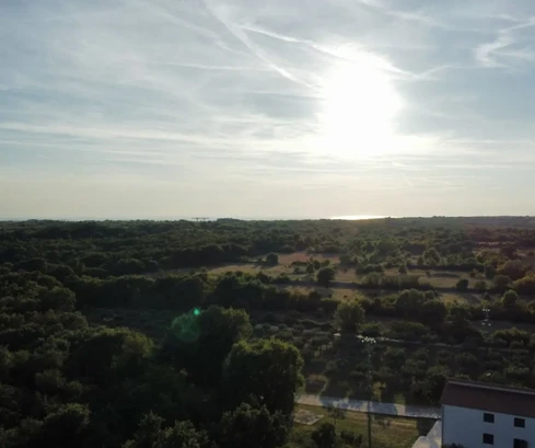 Pozemek Vodnjan, 8 000 m2