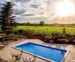 Casa de piedra con piscina y hermoso viñedo, Istria, Poreč