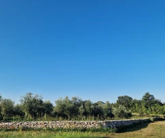 Pozemek Umag, 8&nbsp;056&nbsp;m2