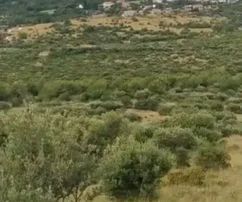 Rogoznica, Podorljak, mezőgazdasági terület 15000 m2