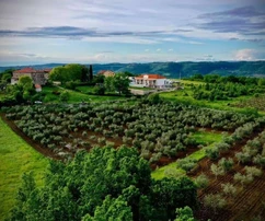 Kamienny dom w pobliżu Poreča