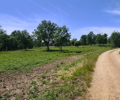 Istria, Poreč: Terreno edificabile per sviluppo residenziale