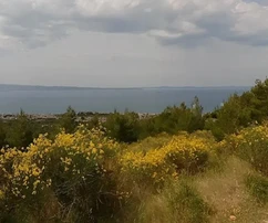Gornja Podstrana, Duge Njive, mezőgazdasági terület 13479 m2, kilátás