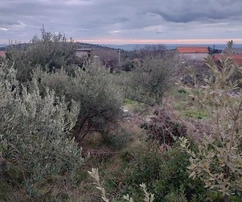 Sevid, Zaselo, building land 2375 m2, 700m from the sea and beach