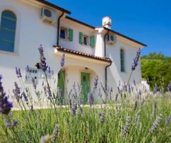 Kamenný dom pri Opatiji, Kras