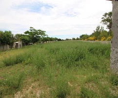 Agricultural land 1049 m²