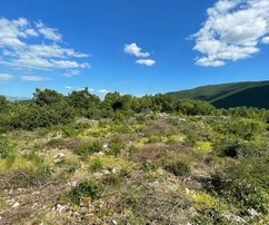 Spacious Land for Sale Near Sinj, Ideal for Family Home