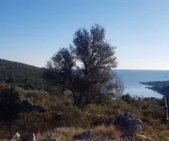 Predaj pozemku Ražanj 4317 m2