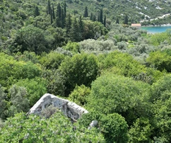 Stone house for sale in Slano just steps from the sea in Croatia