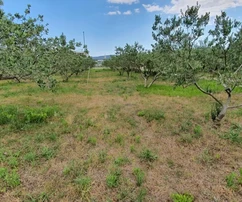 Kaštel Štafilić, terrain agricole de 2200 m2, juste à côté de l'autoroute,