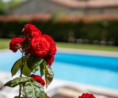 Istrien, Umgebung von Poreč: Steinvilla mit Pool und Aussicht