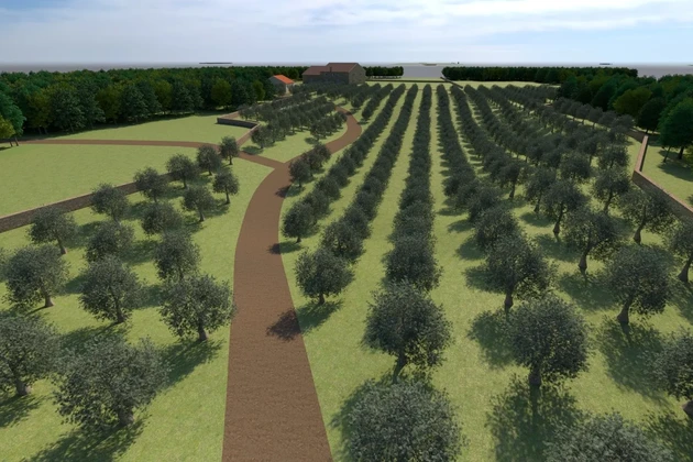 Istrie, Bale, terrain agricole avec potentiel de développement à vendre
