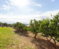 Apartment building for sale in Seget Vranjic with a view in Croatia