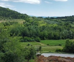 Buje, Istrie – Stavební pozemek se zříceninami v klidné oblasti