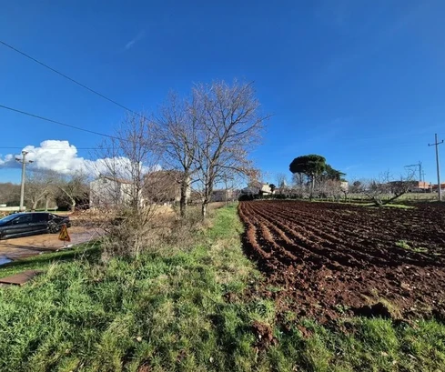 Land Kaštelir, Kaštelir-Labinci, 1.180m2