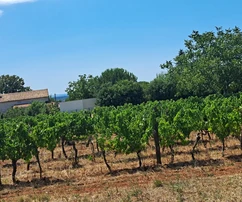 Terrain Kaštelir, Kaštelir-Labinci, 1 430 m2