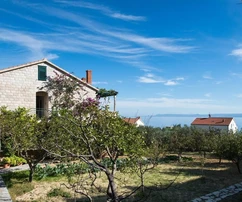 Rodinný dům s byty na prodej v Bolu v Chorvatsku