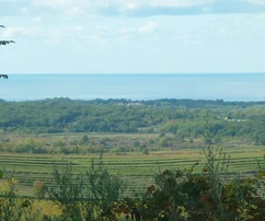Istria, Buje: Attractive building plot with views