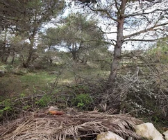 Terrain sous plan UPU 80€/1m2