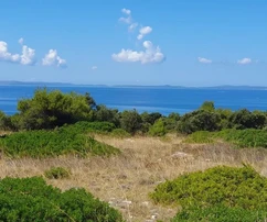 Terrain agricole 3409 m², 12 € / m² Skalinice