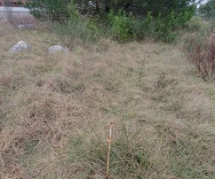600 m² építési telek, kötelezettséggel a Vir község UPU tervének elkészítésére
