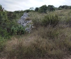 Trogir-Surroundings, Drvenik Mali, agricultural land, 180m from the sea