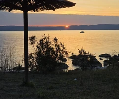 Otok Ugljan Guduće terrain constructible attractif à vendre