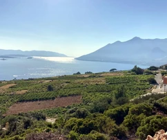 Luxusní vila na prodej v Orebići na poloostrově Pelješac v Chorvatsku