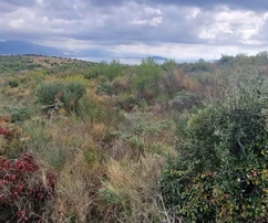 Trogir,Plano,poljoprivredno zemljište 12707 m2,pogled na more,put