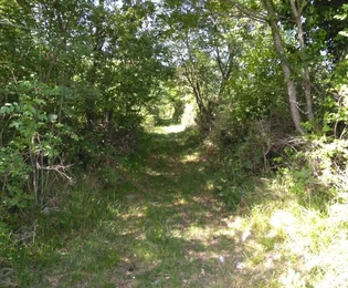 <p>Na prodej zemědělská půda ve Višnjan, Poreč – ideální pro různé účely!</p>