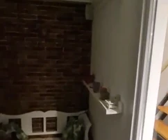 Istria, Červar – Apartament z antresolą i loggią