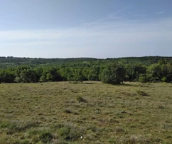 <p>Terreno agricolo in vendita a Višnjan, Poreč – ideale per vari utilizzi!</p>