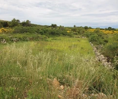 Poľnohospodárska pôda 760 m²