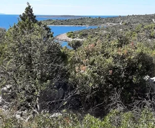 Drvenik Veli,poljopri.. zemljište 3980 m2,samo 80 m od mora,pogled