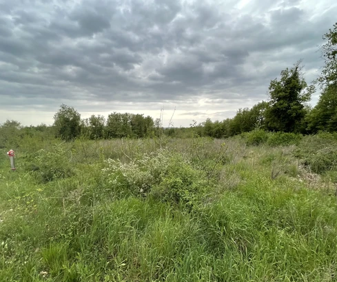 Istria, Sveti Lovrec: Stavebný pozemok pri Poreči