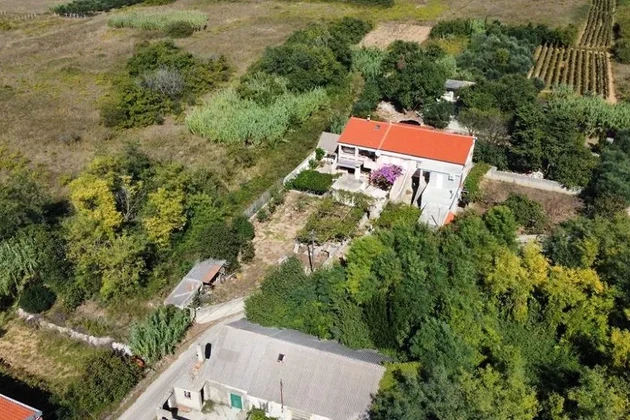 Familienimmobilie mit schönem Olivenhain und Weinberg