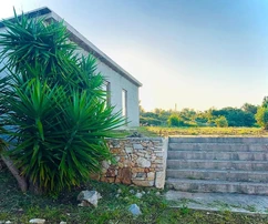 Šolta, Grohote, stavební pozemek 2850 m2 se stavbou 50 m2, 1 km od moře