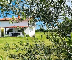 Istrie, Loborika : Maison avec grand jardin et oliveraie