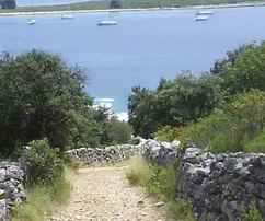 Drvenik Veli, mezőgazdasági terület 4000 m2, tenger közelében