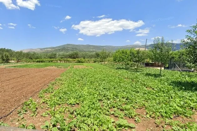 Kaštel Štafilić, terreno en zona verde 1725 m2