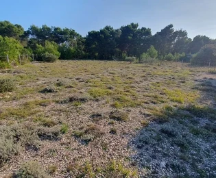 Terreni agricoli