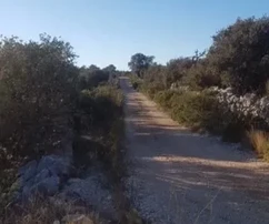 Prodej pozemku Ražanj 4317 m2