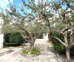 Incantevole casa a Brac con studio e giardino in vendita