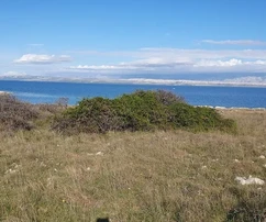 Zemědělská půda 2. řada od moře 2020 m²