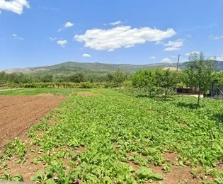 Kaštel Štafilić, terreno in zona verde 1725 m2