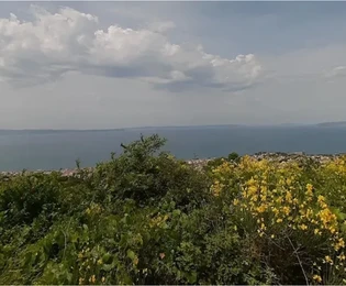 Горня Подстрана, Гайине, сельскохозяйственная земля 2602 м2, вид на море