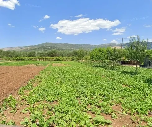 Kaštel Štafilić, terreno in zona verde 1725 m2