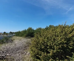 Terrain 800 m², préparation du plan UPU requise