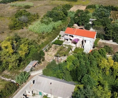 Rodinná nemovitost s krásným olivovým hájem a vinicí