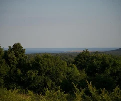 Rodzinny dom piętrowy z basenem na sprzedaż w Ližnjanie w Chorwacji